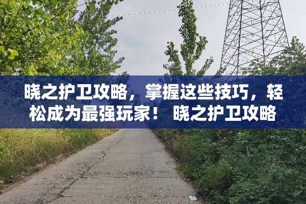 晓之护卫攻略，掌握这些技巧，轻松成为最强玩家！ 晓之护卫攻略