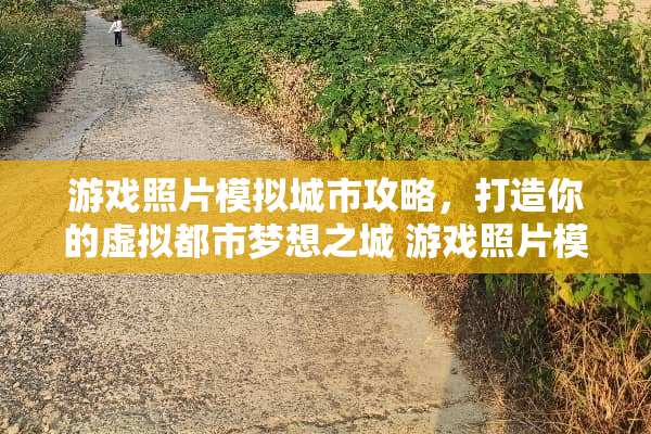 游戏照片模拟城市攻略，打造你的虚拟都市梦想之城 游戏照片模拟城市攻略