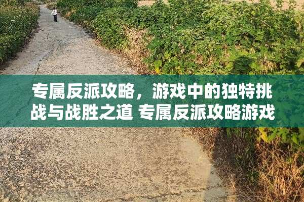 专属反派攻略，游戏中的独特挑战与战胜之道 专属反派攻略游戏