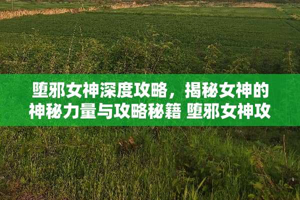 堕邪女神深度攻略，揭秘女神的神秘力量与攻略秘籍 堕邪女神攻略