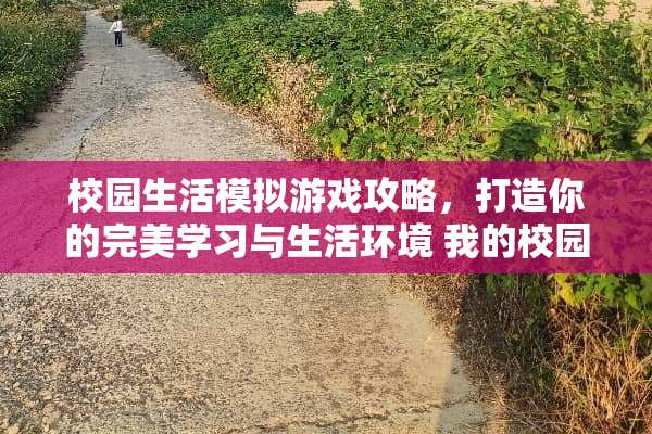 校园生活模拟游戏攻略，打造你的完美学习与生活环境 我的校园生活攻略