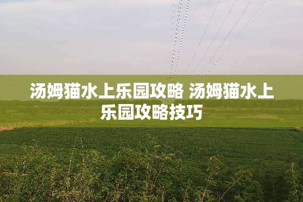汤姆猫水上乐园攻略 汤姆猫水上乐园攻略技巧