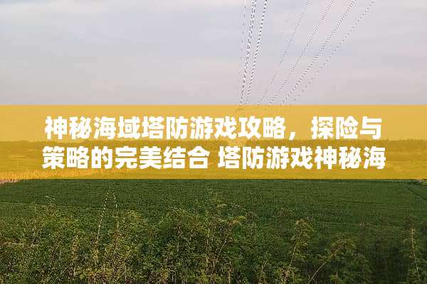 神秘海域塔防游戏攻略，探险与策略的完美结合 塔防游戏神秘海域攻略
