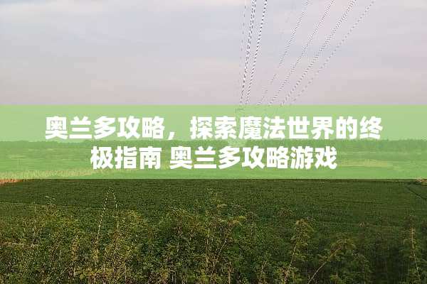 奥兰多攻略，探索魔法世界的终极指南 奥兰多攻略游戏