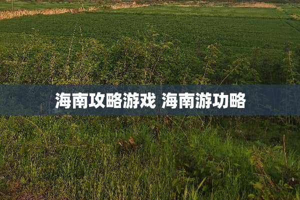 海南攻略游戏 海南游功略