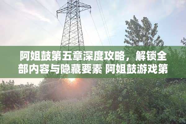 阿姐鼓第五章深度攻略，解锁全部内容与隐藏要素 阿姐鼓游戏第五章攻略