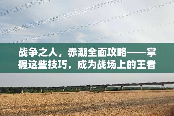 战争之人，赤潮全面攻略——掌握这些技巧，成为战场上的王者 战争之人赤潮攻略