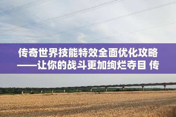 传奇世界技能特效全面优化攻略——让你的战斗更加绚烂夺目 传奇技能特效