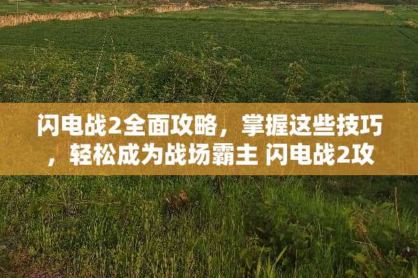 闪电战2全面攻略，掌握这些技巧，轻松成为战场霸主 闪电战2攻略