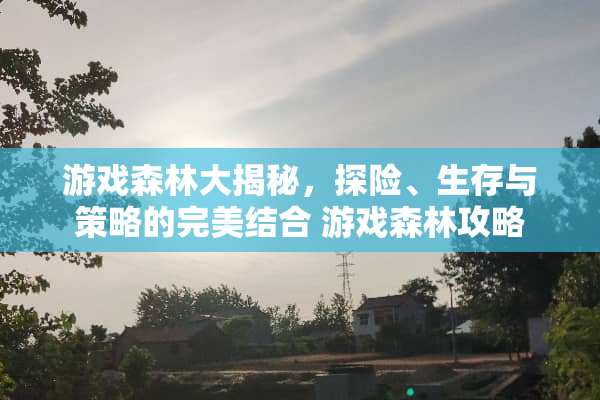 游戏森林大揭秘，探险、生存与策略的完美结合 游戏森林攻略