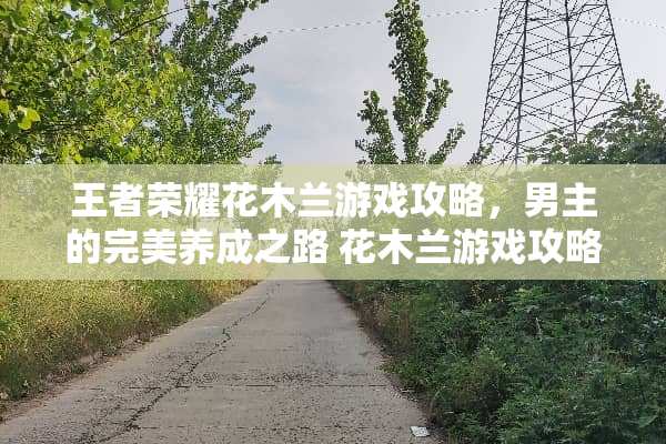王者荣耀花木兰游戏攻略，男主的完美养成之路 花木兰游戏攻略男主