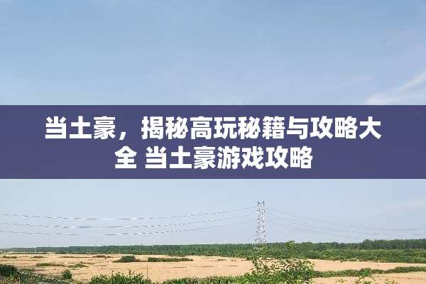 当土豪，揭秘高玩秘籍与攻略大全 当土豪游戏攻略