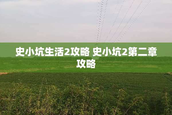 史小坑生活2攻略 史小坑2第二章攻略