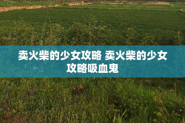 卖火柴的少女攻略 卖火柴的少女攻略吸血鬼