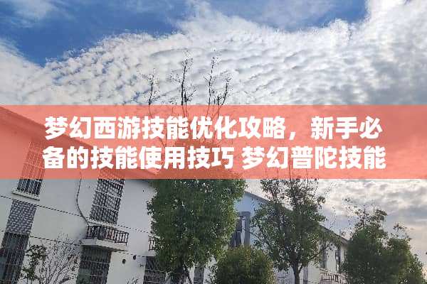 梦幻西游技能优化攻略，新手必备的技能使用技巧 梦幻普陀技能