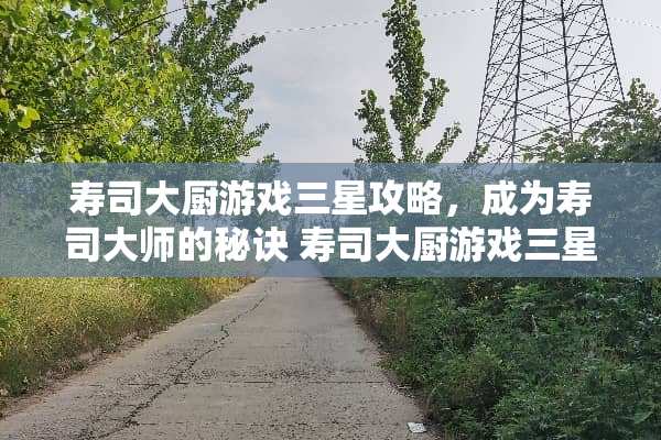 寿司大厨游戏三星攻略，成为寿司大师的秘诀 寿司大厨游戏三星攻略
