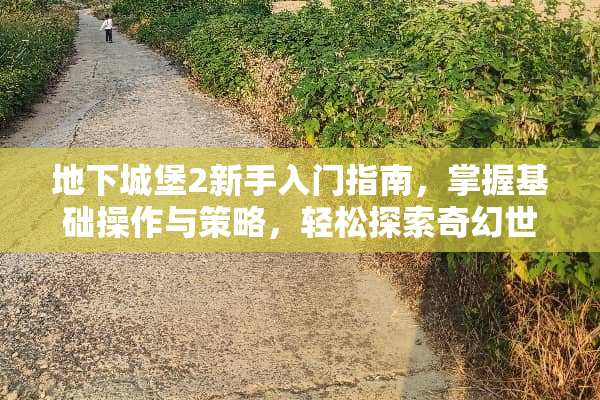 **城堡2新手入门指南，掌握基础操作与策略，轻松探索奇幻世界 **城堡2新手攻略