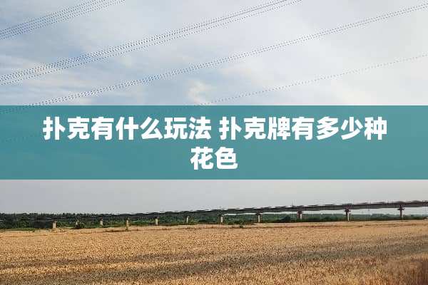 **有什么玩法 **牌有多少种花色
