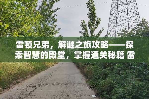 雷顿兄弟，解谜之旅攻略——探索智慧的殿堂，掌握通关秘籍 雷顿兄弟攻略游戏