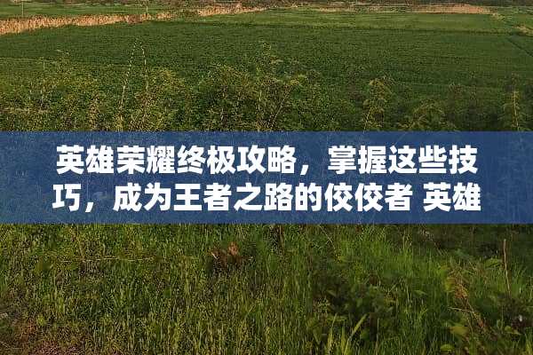 英雄荣耀终极攻略，掌握这些技巧，成为王者之路的佼佼者 英雄的荣耀攻略