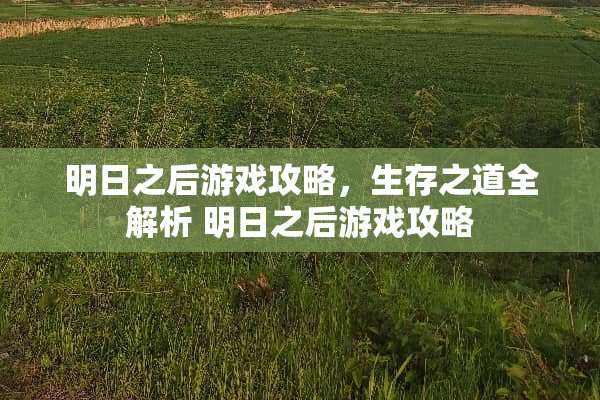 明日之后游戏攻略，生存之道全解析 明日之后游戏攻略