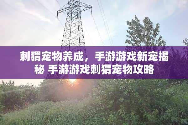 刺猬宠物养成，手游游戏新宠揭秘 手游游戏刺猬宠物攻略