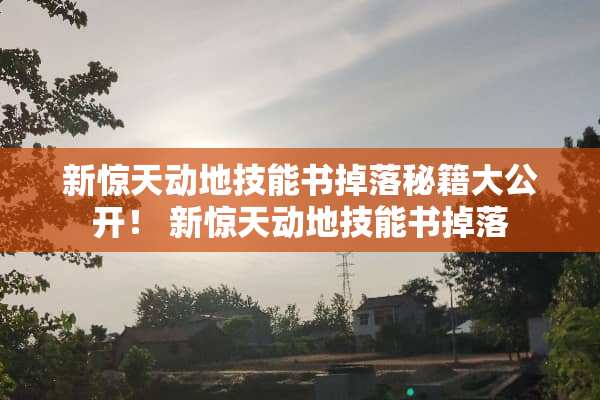 新惊天动地技能书掉落秘籍大公开！ 新惊天动地技能书掉落