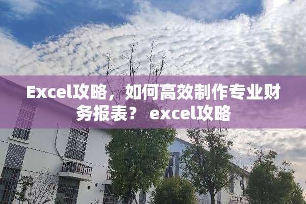 Excel攻略，如何高效制作专业财务报表？ excel攻略