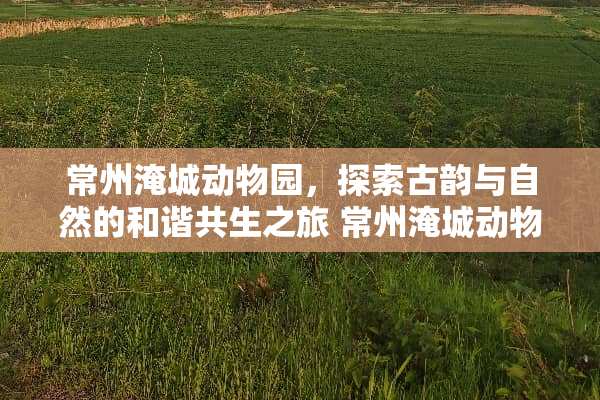 常州淹城动物园，探索古韵与自然的和谐共生之旅 常州淹城动物园攻略