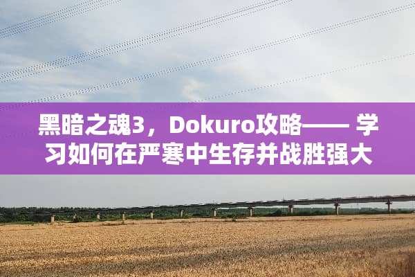 黑暗之魂3，Dokuro攻略—— 学习如何在严寒中生存并战胜强大的敌人 dokuro攻略