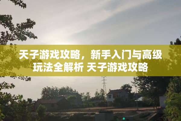 天子游戏攻略，新手入门与高级玩法全解析 天子游戏攻略