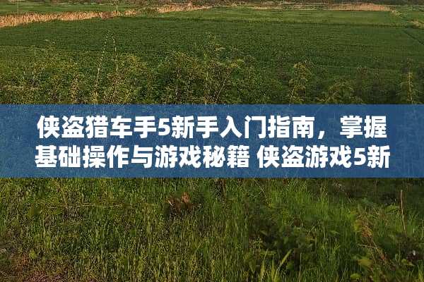 侠盗猎车手5新手入门指南，掌握基础操作与游戏秘籍 侠盗游戏5新手攻略