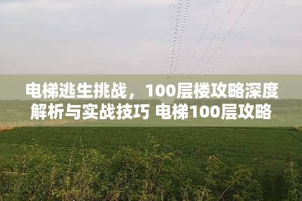 电梯逃生挑战，100层楼攻略深度解析与实战技巧 电梯100层攻略