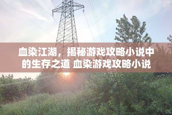 血染江湖，揭秘游戏攻略小说中的生存之道 血染游戏攻略小说