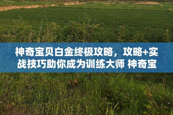 神奇宝贝白金终极攻略，攻略+实战技巧助你成为训练大师 神奇宝贝白金攻略