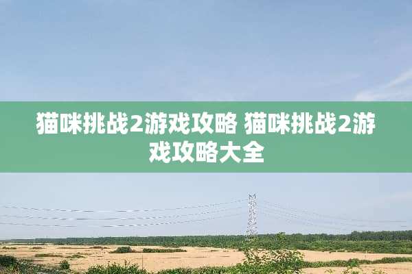 猫咪挑战2游戏攻略 猫咪挑战2游戏攻略大全