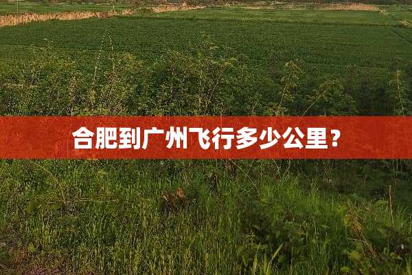 合肥到广州飞行多少公里？