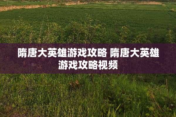 隋唐大英雄游戏攻略 隋唐大英雄游戏攻略视频