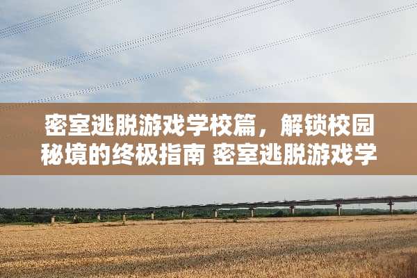 密室逃脱游戏学校篇，解锁校园秘境的终极指南 密室逃脱游戏学校篇攻略