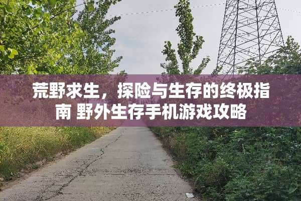 荒野求生，探险与生存的终极指南 野外生存手机游戏攻略