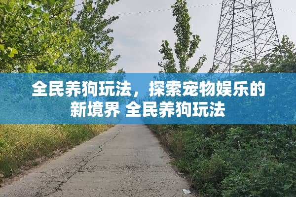 全民养狗玩法，探索宠物娱乐的新境界 全民养狗玩法