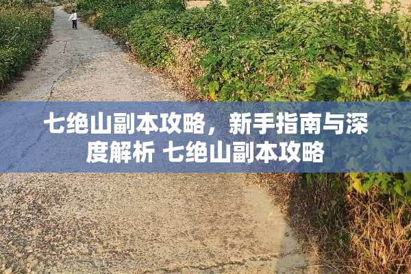七绝山副本攻略，新手指南与深度解析 七绝山副本攻略
