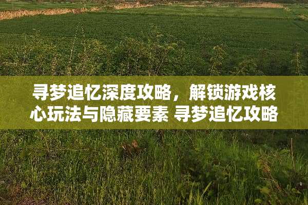 寻梦追忆深度攻略，解锁游戏核心玩法与隐藏要素 寻梦追忆攻略