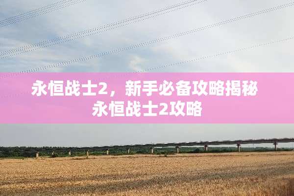 永恒战士2，新手必备攻略揭秘 永恒战士2攻略