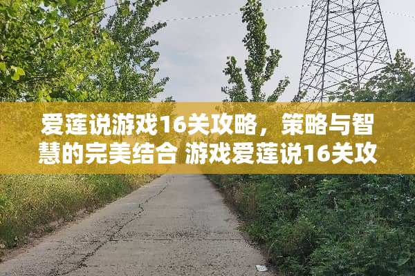 爱莲说游戏16关攻略，策略与智慧的完美结合 游戏爱莲说16关攻略