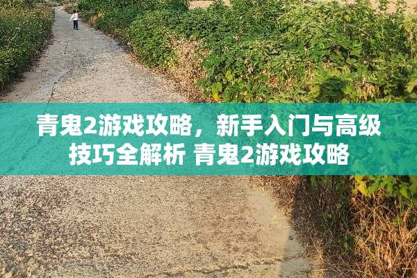 青鬼2游戏攻略，新手入门与高级技巧全解析 青鬼2游戏攻略