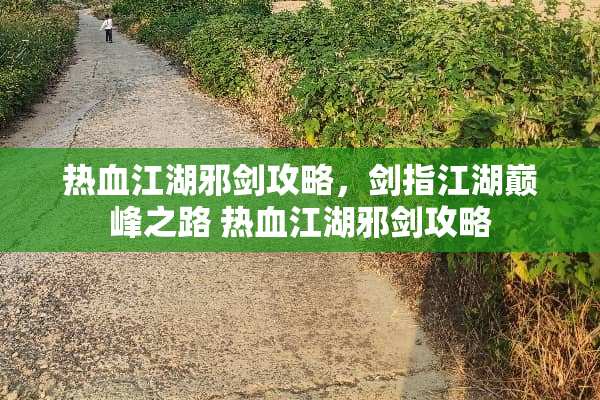 热血江湖邪剑攻略，剑指江湖巅峰之路 热血江湖邪剑攻略