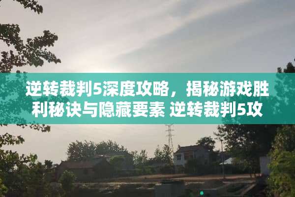 逆转裁判5深度攻略，揭秘游戏胜利秘诀与隐藏要素 逆转裁判5攻略