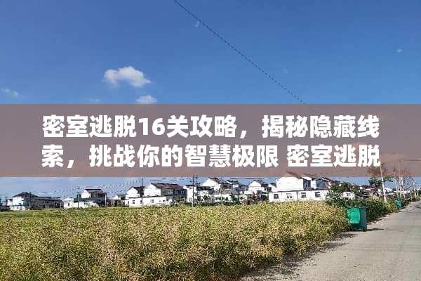 密室逃脱16关攻略，揭秘隐藏线索，挑战你的智慧极限 密室逃脱16关攻略