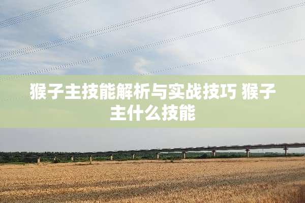猴子主技能解析与实战技巧 猴子主什么技能